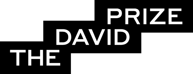The David Prize
